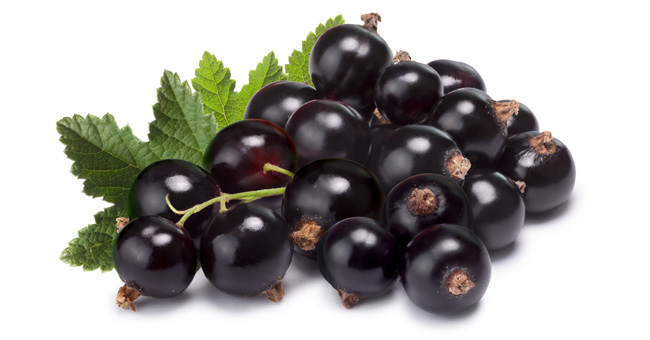 BRAND’S® ingredients blackcurrant anthocyanins detail page